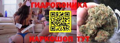 jwh Вязьма
